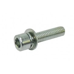 Болт кріплення редуктора для мотокоси (М6х36мм)